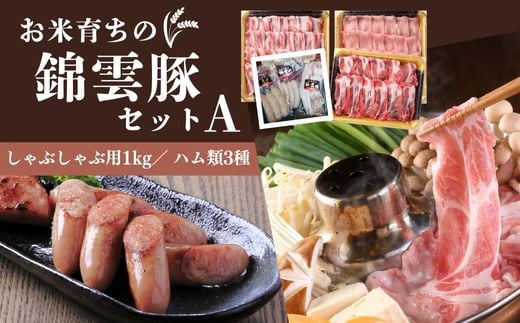 【錦雲豚／ブランド豚肉】錦雲豚（きんうんとん）高級豚しゃぶしゃぶ肉1kgとハム類のセットA | 錦雲豚 キンウントン 豚肉セット 高級豚肉 ブランド豚 米豚 豊後高田市
