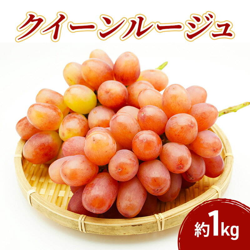 【ふるさと納税】クイーンルージュⓇ 1kg　果物 フルーツ ぶどう　長野県　お届け：2026年9月下旬～10月下旬