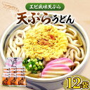 【ふるさと納税】天ぷら うどん 12食 《豊前市》【富士菊】うどん 天ぷらうどん 天ぷら 麺 麺類 福岡 豊前 [VAI010] 9000 9000円