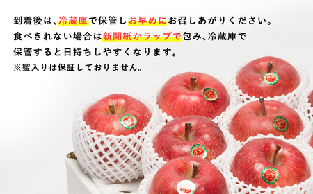 年明け 吹田りんご園 山の完熟サンふじ約5kg 【吹田りんご園・青森りんご・平川市広船産・1月・2月・3月】