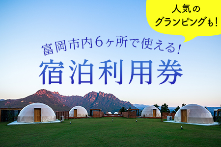 富岡市内ホテル・旅館・民宿利用券（寄附金額の3割相当分） F20E-206