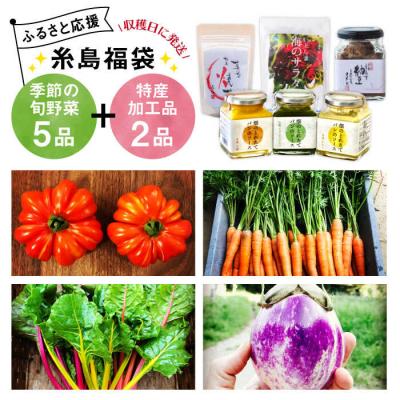 ふるさと納税 糸島市 糸島の福袋!朝採りオーガニック旬野菜お任せ5品+糸島産大ヒット特産加工品2品セット [AGE028]