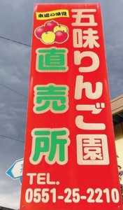 【2024年先行予約】【訳あり】シナノゴールド5kg(14個～16個）