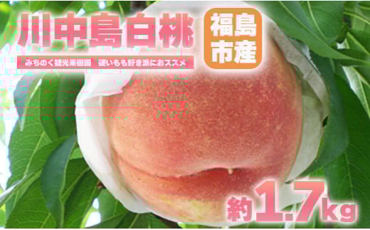 No.2347もも「川中島白桃」贈答用　約1.7kg【2025年発送　先行予約】