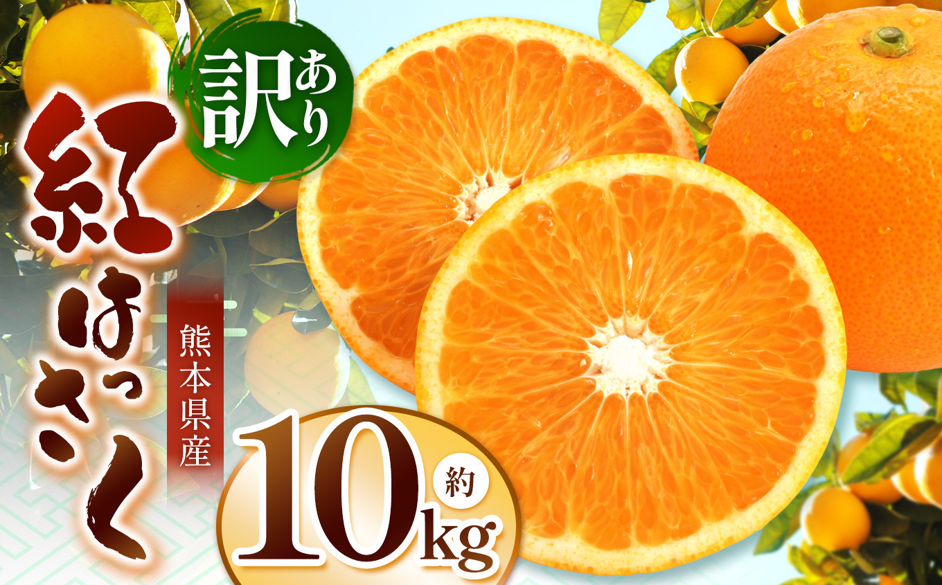 
            こだわり栽培 訳あり 紅八朔 約 10kg iFARM 岩城農園 | フルーツ 果物 くだもの 柑橘類 柑橘 べにはっさく 八朔 訳アリ ご家庭用 家庭用 10キロ 熊本県 玉名市
          