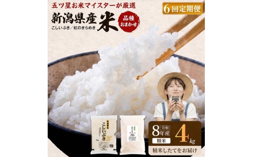 
                  R8年産 新潟県産 品種おまかせ  4kg 6か月定期便 新潟県 新潟市産 令和8年産 お米 精米 米 ご飯 送料無料
                