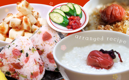 【へしこの町】 福井 梅干し 300g × 1個 ＆ 美浜産 へしこ × 2本 Cセット【鯖 サバ さば うめぼし 自家製】 [m20-a010]