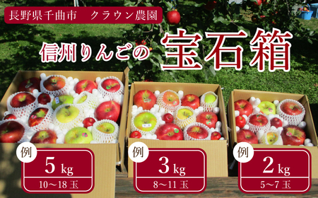 【2025年先行予約】【りんごの宝石箱】 信州産りんご 詰め合わせセット 約5kg 旬のりんご品種を3種以上厳選 千曲市産りんご 長野のりんご
