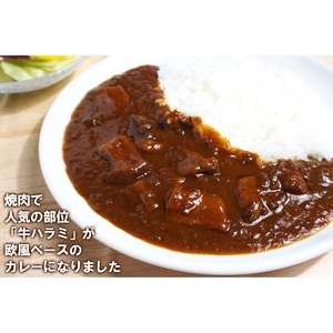 欧風牛ハラミカレー（200g×12パック）【配送不可地域：北海道・沖縄】【069D-013】