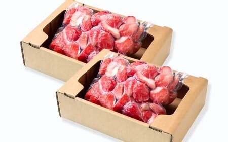 【数量限定】訳あり　完熟冷凍苺やよいひめ1.6kg（800g×2）苺大野屋＜1.2-67＞