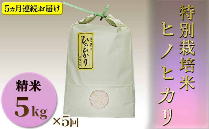 【定期便】 特別栽培米　精米　ヒノヒカリ　5kg×5回　 お米