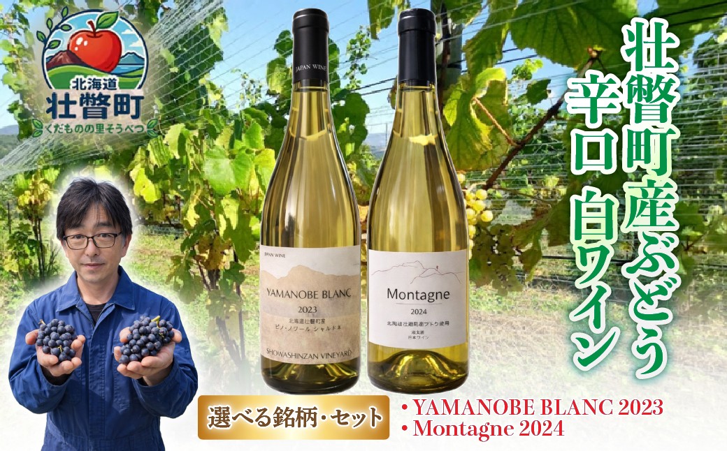 
                  【選べる銘柄・セット】昭和新山ワイン YAMANOBE BLANC 2023(ヤマノベブラン）、昭和新山ワイン Montagne 2024 無濾過(モンターニュ） 750ml 1本/各1本セット/各2本セット/【ふるさと納税 人気 おすすめ 白ワイン 昭和新山 ワイン 白 辛口 お酒 壮瞥町産 ぶどう 100％ ピノノワール シャルドネ 丹波ワイン 北海道 壮瞥町 送料無料】SBTQ012-s
                