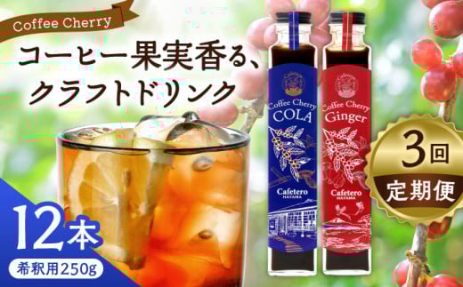 【先行予約】【2025年7月中旬から順次発送】【全3回定期便】カフェテーロ葉山　コーヒーチェリーコーラ 6本 コーヒーチェリージンジャー 6本/ コーラ エナジードリンク 酸味 コーヒー  神奈川県 葉山町 クラフトコーラ 天然 ドリンク 炭酸【合同会社エンディレクト】 [ASBM019]