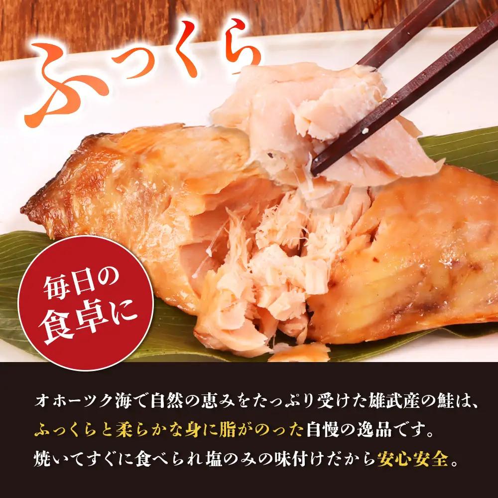 北海道産 新巻鮭切身1kg 不揃い【12437】