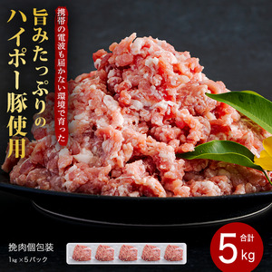 豚ひき肉 1kg×5パック ハイポー豚 阿武町産