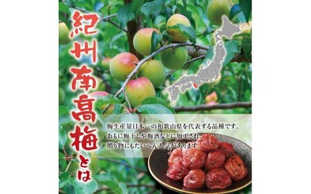 紀州南高梅　うす塩【ハチミツ入】 塩分5%（1.5kg）なかやまさんちの梅干　うめ　ウメ　【nky007-115k】