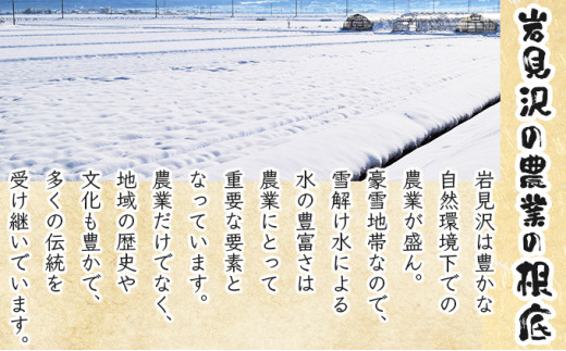 『100%自家生産精米』善生さんの自慢の米 ななつぼし10kg※一括発送 [a104-115] 精米　ななつぼし10kg