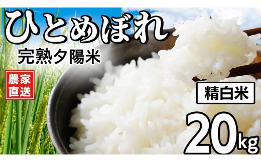 
                  【 新米 】 完熟夕陽米 (精白米) 20kg (5kg×4) ひとめぼれ 特別栽培米 令和8年産 生産農家直送  米 産地直送 こめ 精米 白米 ご飯 夕陽米 岩手県 特別栽培 農家直送 事業者応援 生産者支援 日常使い (CP039)
                