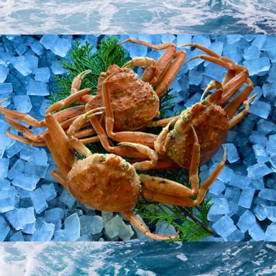 ふるさと納税 若桜町 【蒸し】訳あり足折れ日本海産親ガニ(セコガニ)　3枚