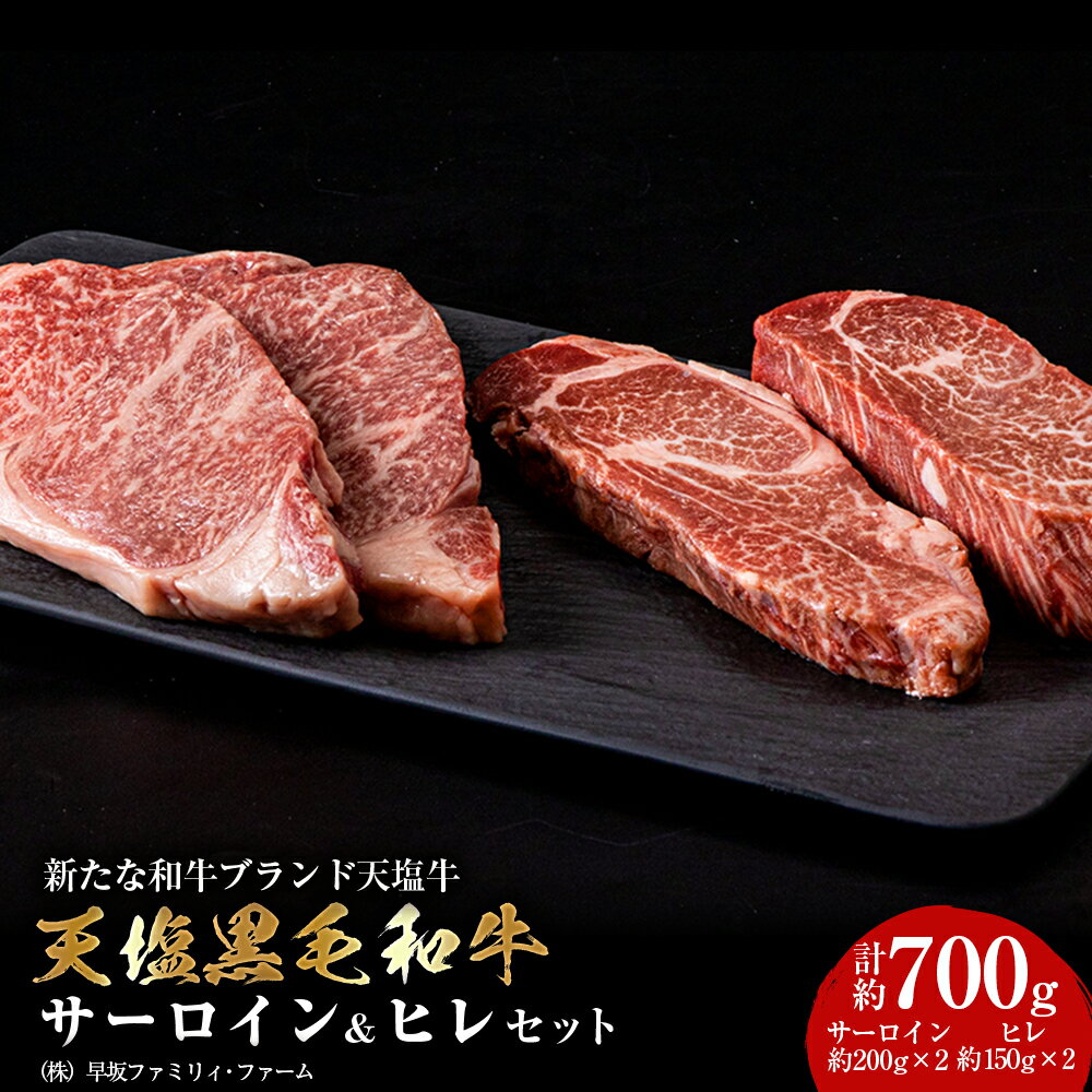 【ふるさと納税】黒毛和牛 天塩和牛 サーロイン & ヒレ セット ＜早坂ファーム＞ ふるさと納税 北海道