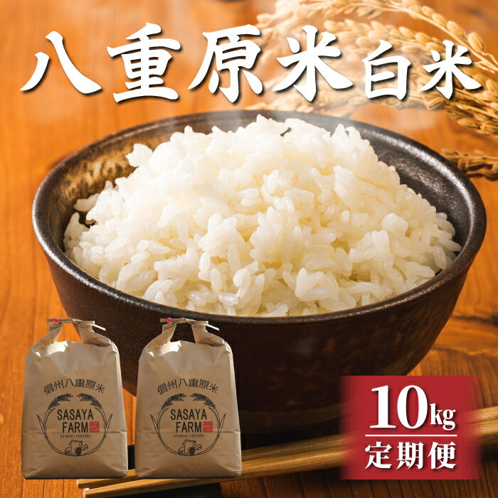 【ふるさと納税】令和7年新米予約【定期便】八重原米10kg（5kg×2袋）白米　※2025年10月以降順次発送｜笹屋農園「農薬削減長野県認証取得」