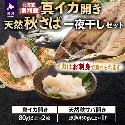 ふるさと納税 浦河町 浦河前浜の恵み!真イカ開き(刺身可)&amp;天然大さば一夜干しセット[08-1528]