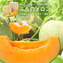 【ふるさと納税】【2025年発送】【ポプラファーム】厳選【桐箱】富良野メロン中玉1玉（計1.6kg以上　秀品）