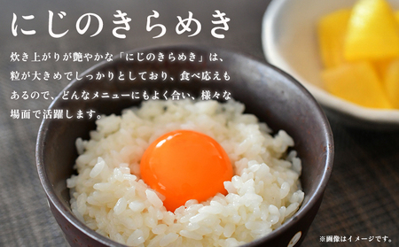 ＜にじのきらめき 約10kg（5kg×2袋）＞ 10キロ ニジノキラメキ 米 お米 コメ こめ 白米 精米 ご飯 ライス 大粒 穀物 西予応援米 特産品 愛媛県産 西予市産 宇和町産 前田農園 愛媛県