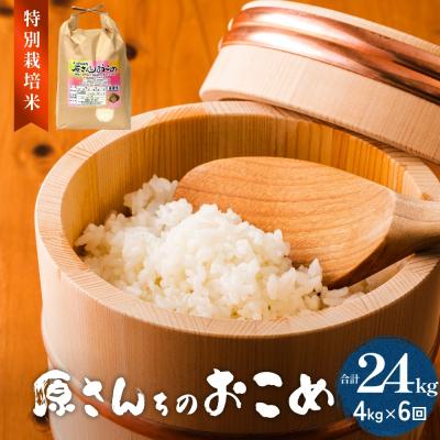 ふるさと納税 玖珠町 《先行受付》令和7年度産 原さんちのお米 4kg 6回定期便 品種おまかせ