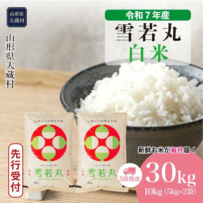 【ふるさと納税】＜令和7年産米先行受付＞ 大蔵村 雪若丸 ＜白米＞ 30kg定期便（10kg×3回お届け）