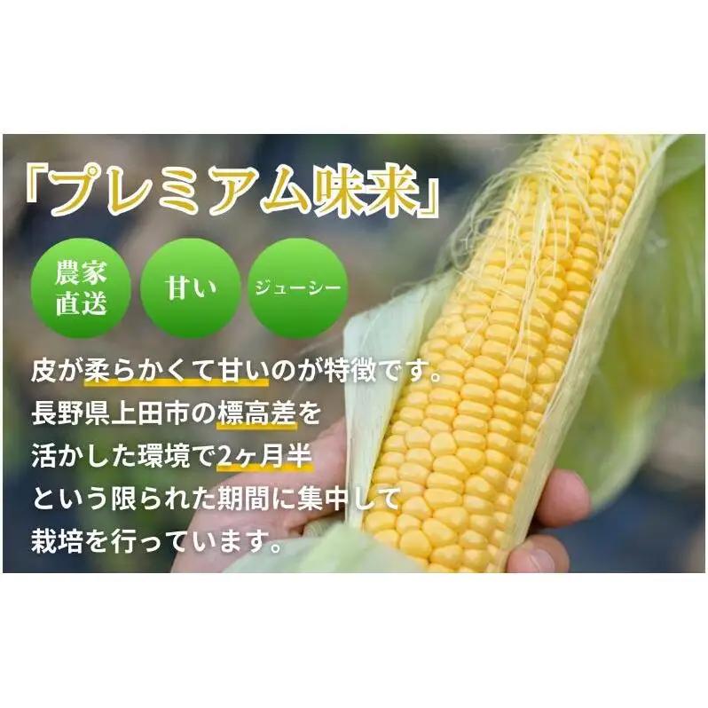 【先行予約】とうもろこし プレミアム味来 みどりの大地 5kg（8～12本入り） 茹でとうもろこし スイートコーン ミラクルコーン 甘いコーン 野菜 長野県 信州 上田