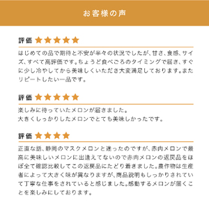 【2024年6月より順次発送】〈桐箱入〉ふらの山部の絶品メロン『鳳凰』3L（2～2.5kg）×2玉（坂口農産）メロン フルーツ 果物 新鮮 甘い 贈り物 ギフト 道産 ジューシー おやつ ふらの ブラ
