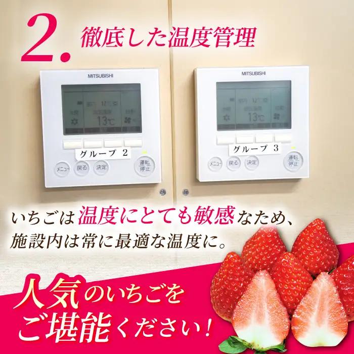  いちごさん 150g×6パック いちご IAK016
