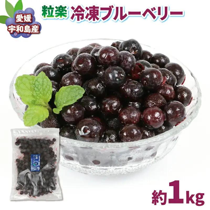 冷凍 ブルーベリー 500g 2袋 計1kg 粒楽 南四国ファーム 冷凍果実 冷凍フルーツ 果物 スムージー ブルーベリージャム 健康 スーパーフード お取り寄せ 自宅用 冷凍ブルーベリー アントシアニン フルーツ 産地直送 数量限定 国産 愛媛 宇和島 J013-035014