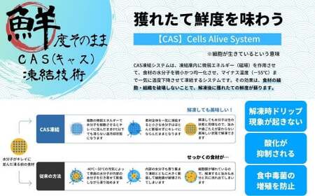 アジフライ60枚 30枚×2袋 アジフライ
