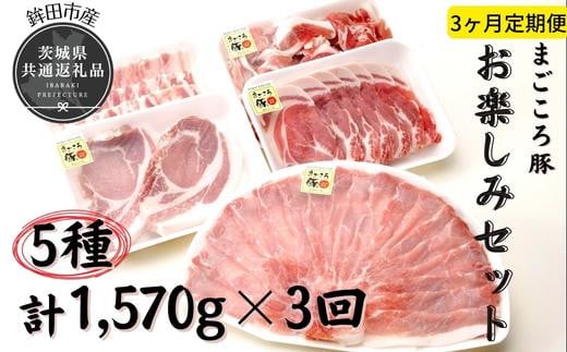 【3ヶ月定期便】まごころ豚　お楽しみセット×3回（茨城県共通返礼品／鉾田市産）