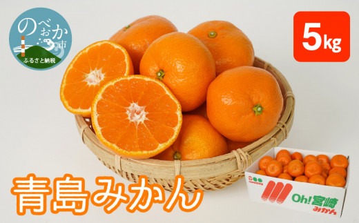 青島みかん 5kg N0132-YA4436