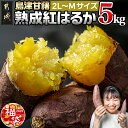 【ふるさと納税】【新春福袋★2025】島津甘藷 熟成紅はるか 5kg(2L〜M) - 紅はるか 2L〜M 5kg サイズ未選別 産地直送 さつまいも サツマイモ 九州 国産 土付き 送料無料 LD-A701-F2025【宮崎県都城市は2年連続ふるさと納税日本一！】