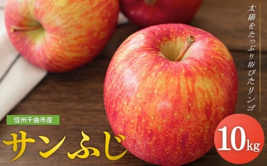 【2026年先行予約】りんご サンふじ 約10kg<中島農園>｜ さんふじ フルーツ 果物 信州りんご 産地直送 千曲市 長野県産 信州