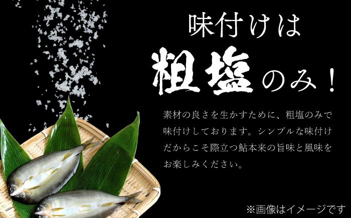 特選 びわこ生まれの鮎 一夜干し 10枚(個別真空パック) 背骨なし　鮎 あゆ アユ 一夜干し 干物