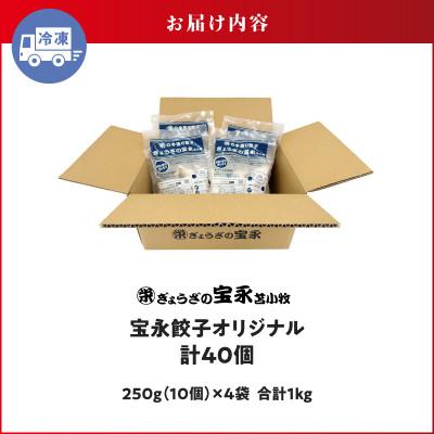 ふるさと納税 苫小牧市 ぎょうざの宝永　宝永餃子10個入セット(宝永餃子10個入×4袋)合計1.0kg |  | 03