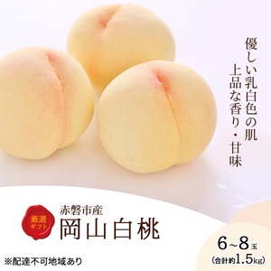 桃 先行予約 岡山 白桃 6～8玉 約1.5kg 化粧箱 岡山県 赤磐市産 果物 もも モモ 桃