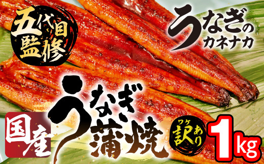 国産うなぎ蒲焼 1kg 訳あり 蒲焼 うなぎ 鰻 unagi ウナギ 蒲焼 訳あり 不揃い わけあり ワケアリ 規格外 家庭用 自宅用 愛知県 豊橋市
