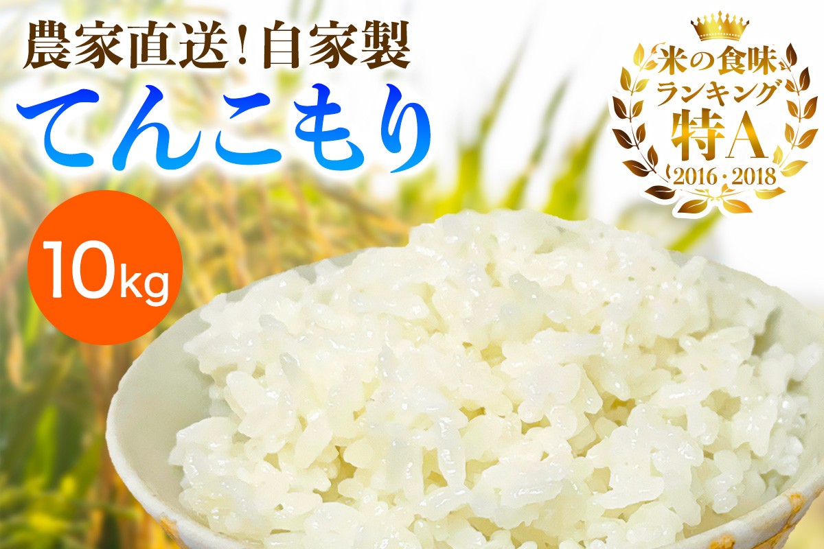 
                  新米 [令和8年産／11月上旬より順次発送] 伊勢原産 精米10kg(5kg×2袋) てんこもり 農家直送！加藤さんちのうんめぇ！自家製米｜お米 おこめ コメ 白米 神奈川 伊勢原 [1112]
                