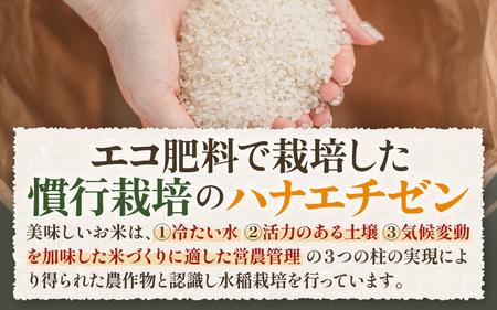 【先行予約】【令和8年産 新米】 エコ栽培ハナエチゼン　白米5kg×3回 計15kg ／ 鮮度抜群 福井県産 はなえちぜん ご飯 新鮮 白米 ※2026年9月上旬以降順次発送予定 [aw063-c01