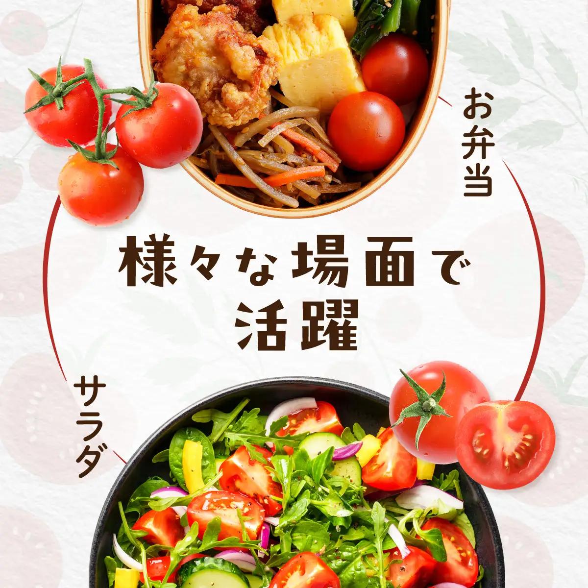 【先行予約】【発送期間は5月中旬～7月中旬、9月上旬～11月下旬】新鮮でフルーティーな小川ファームのミニトマト2.5kg(12パック入り)