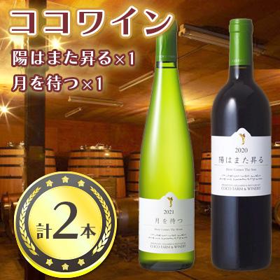 ふるさと納税 足利市 ココワイン　月と太陽セット