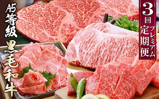 プレミアム　A5等級黒毛和牛定期便(3回配送) FF-0055【配送不可地域：離島】