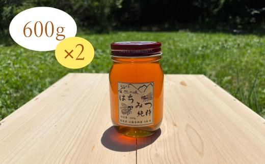 純粋 蜂蜜【長野県飯田市産】600g×2本 | 蜂蜜 はちみつ 養蜂 長野県 飯田市 信州