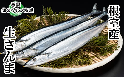 C-76001【年内配送可】 【北海道根室産】冷凍さんま5尾×8P(計40尾)